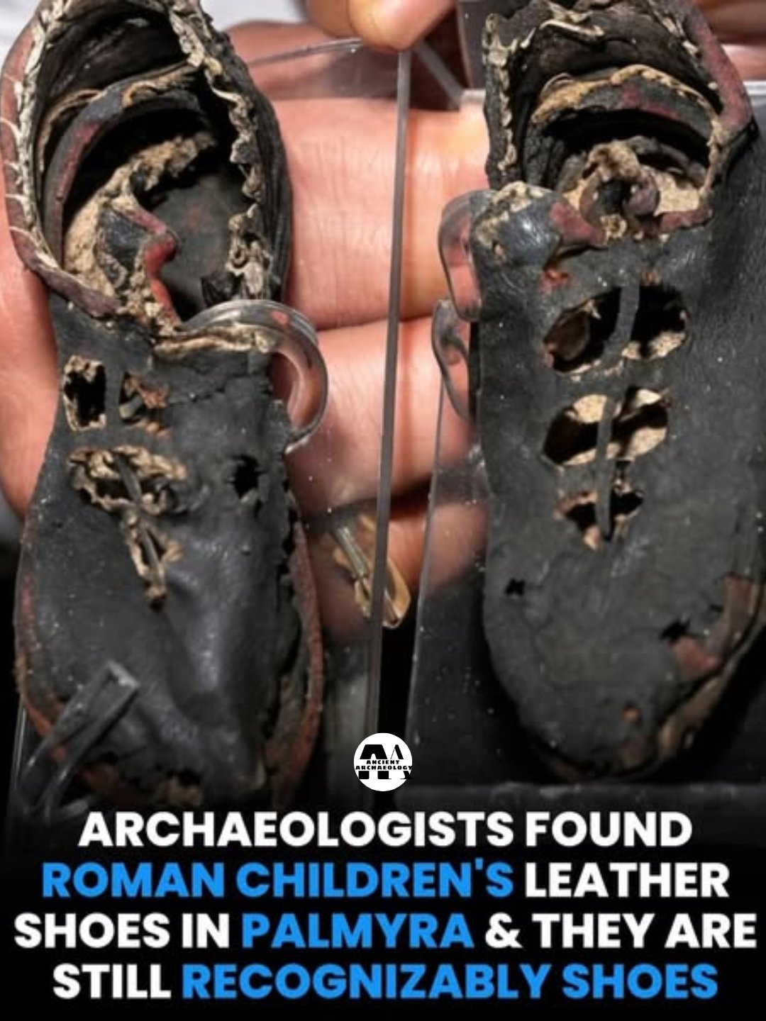 Có thể là hình ảnh về giày và văn bản cho biết 'PECNATOLES RENABOLOG - CEIENT ARCHAEOLOGISTS FOUND ROMAN CHILDREN'S S LEATHER SHOES IN PALMYRA & THEY ARE STILL RECOGNIZABLY SHOES'