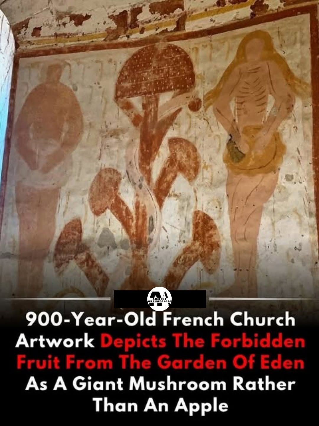 Có thể là hình ảnh về văn bản cho biết '.CTAET 900-Year-Old Old French Church Year- Artwork Depicts The Forbidden Fruit From The Garden Of Eden As A Giant Mushroom Rather Than An Apple'