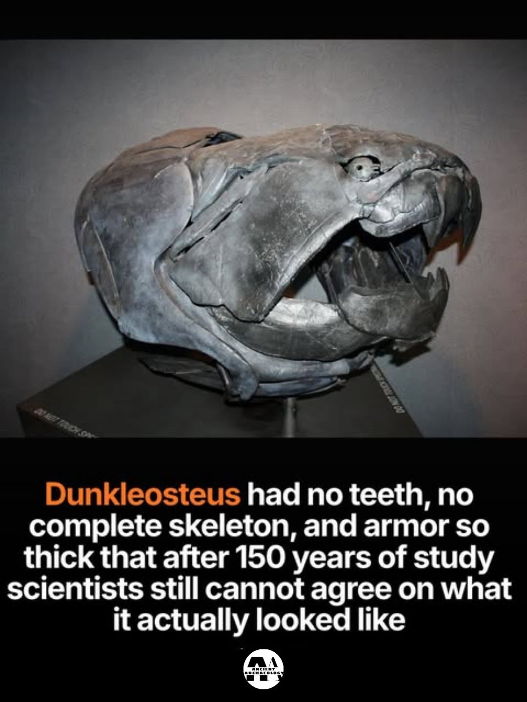 Có thể là hình ảnh về xương và văn bản cho biết 'Dunkleosteus had no teeth, no complete skeleton, and armor so thick that after 150 years of study scientists still cannot agree on what it actually looked like McлИT @иTaHиr'
