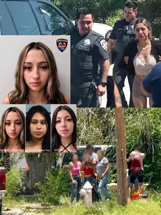 Có thể là hình ảnh về một hoặc nhiều người và văn bản cho biết 'POLice Ame Cookle Diaz Syandra Foree Kitty News'