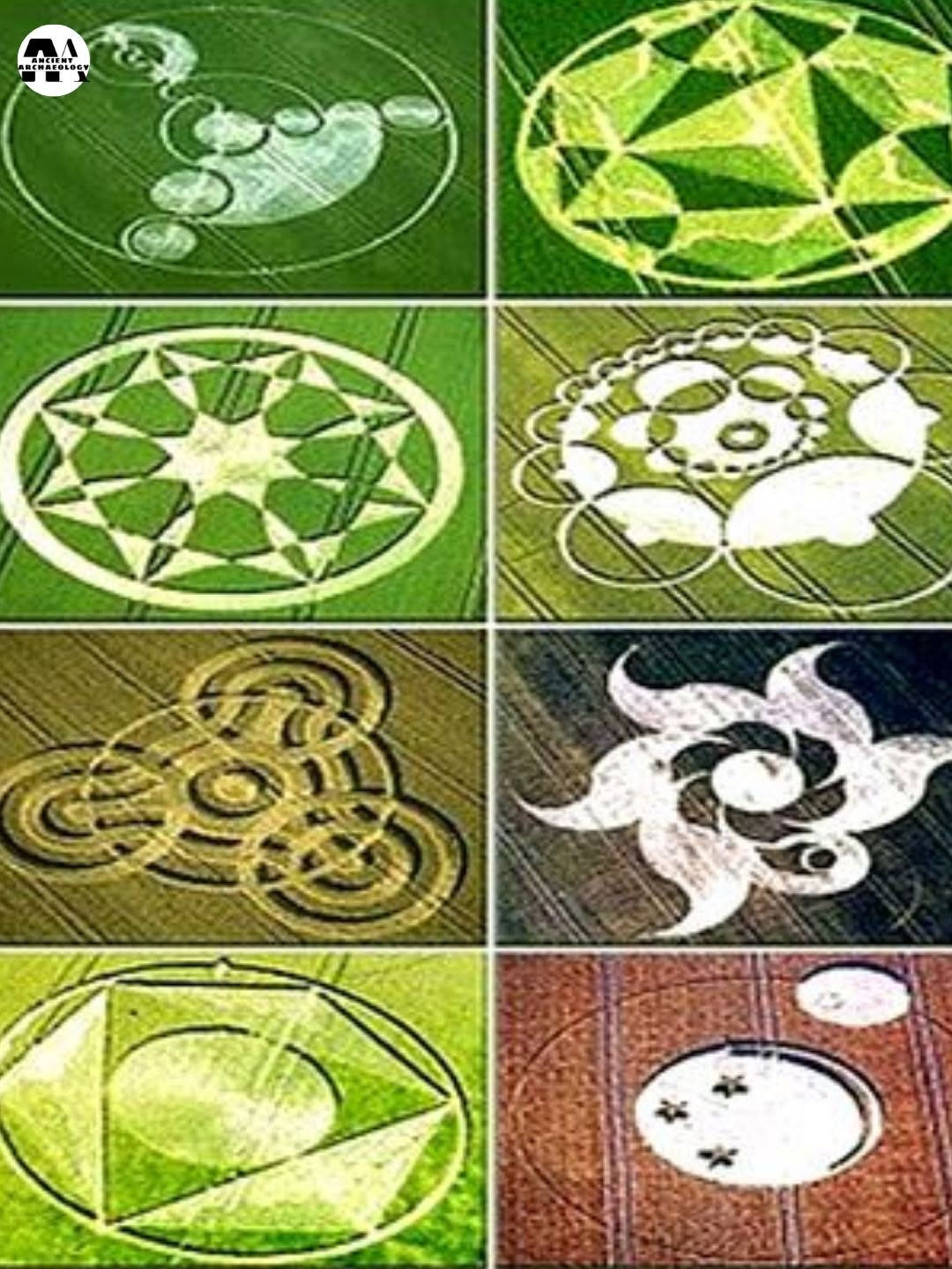 Có thể là hình ảnh về văn bản