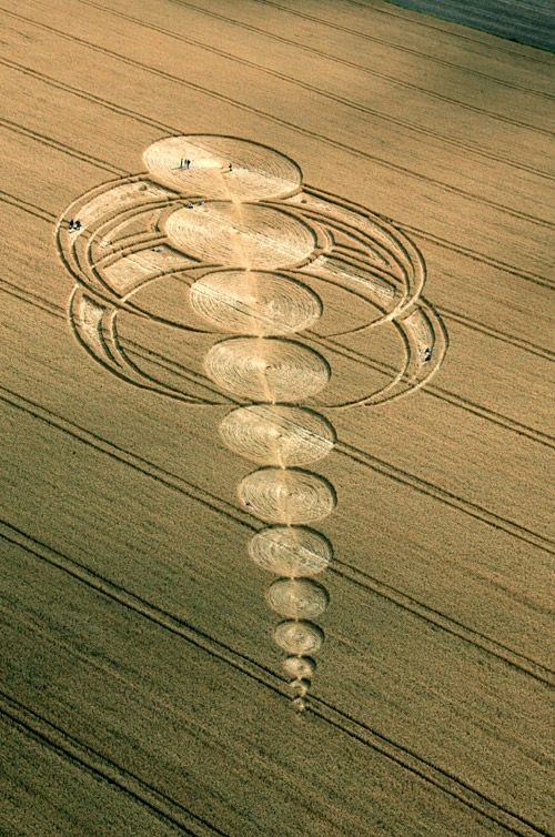 82 ý tưởng hay nhất về Circle Crop | crop circles, ufo, người ngoài hành tinh thời xưa