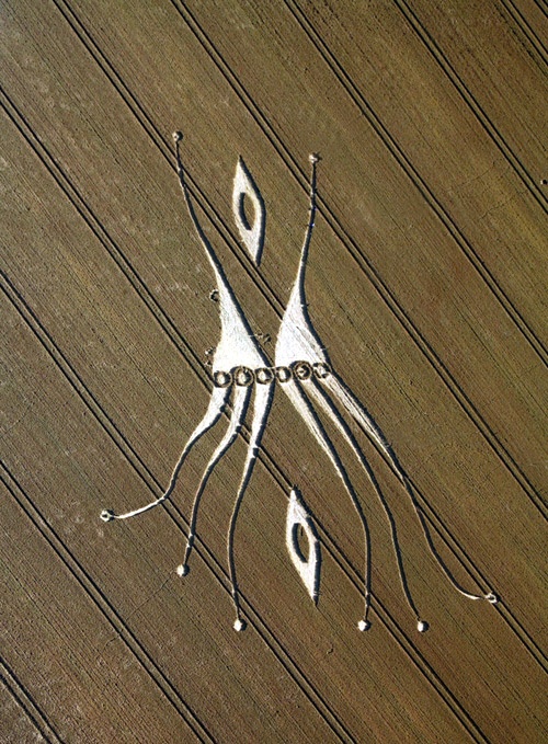 Crop Circle at Hill Barn, nr East Kennett, Wiltshire. Reported 26th July 2012.
