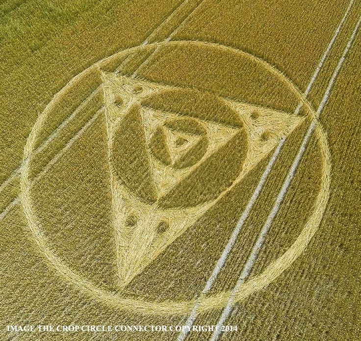 All Crop Circles : The 2014 Season ! | Crop circle face, Crop circle with geometric shapes, Mysterious