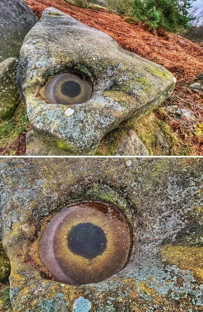 Seems like a stone giant is waking up : r/oddlyterrifying