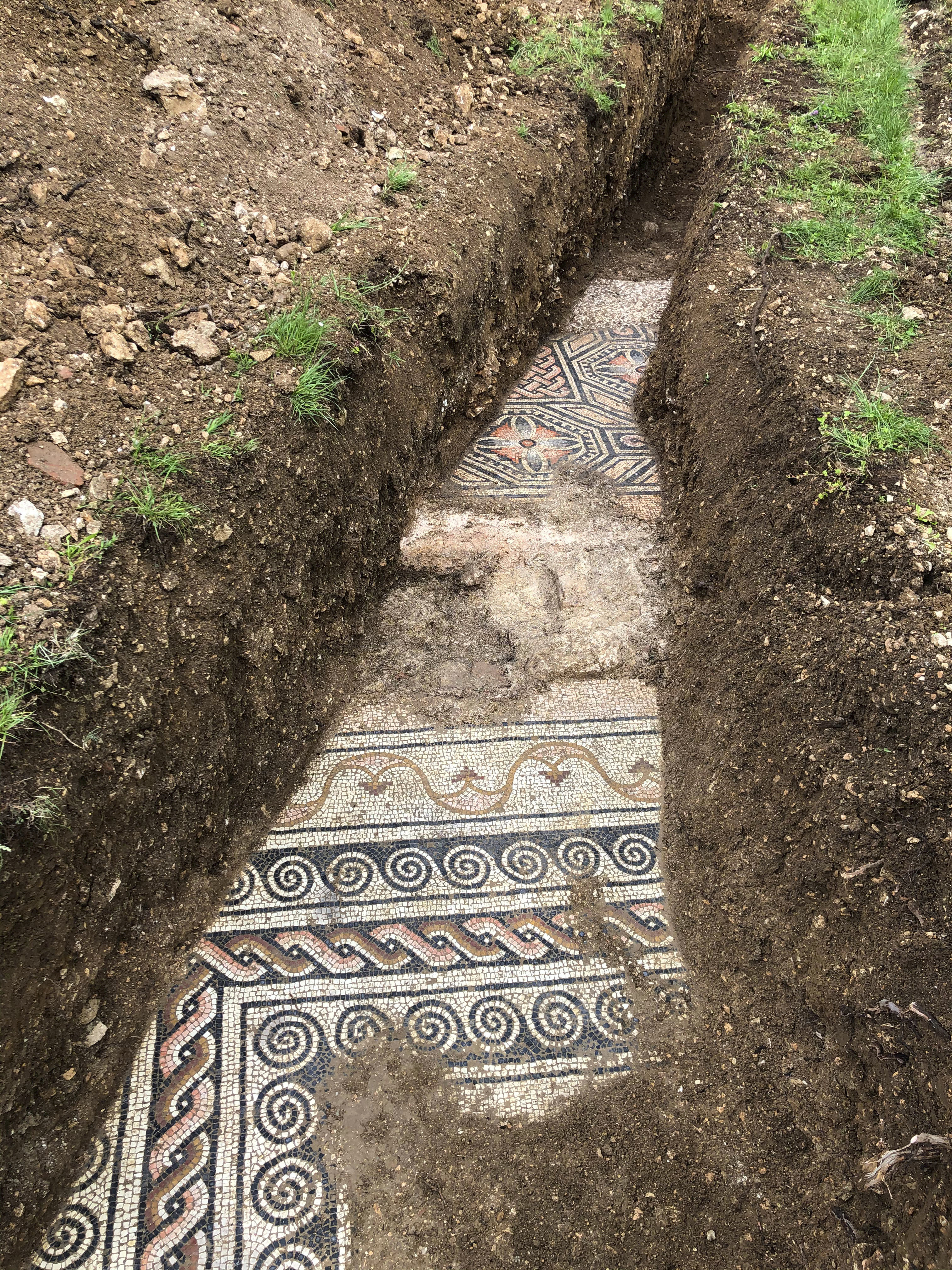 Well-preserved Roman mosaic unearthed in Italian vineyard