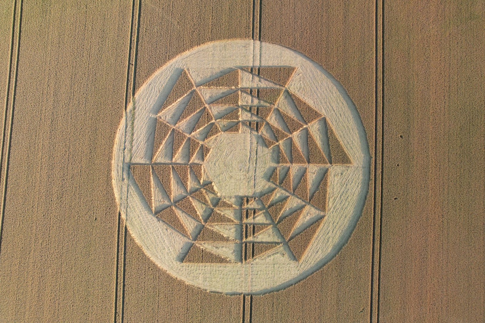 2022 Circles: Barbury Castle (Second Phase), near Wroughton, Wiltshire | The Croppie