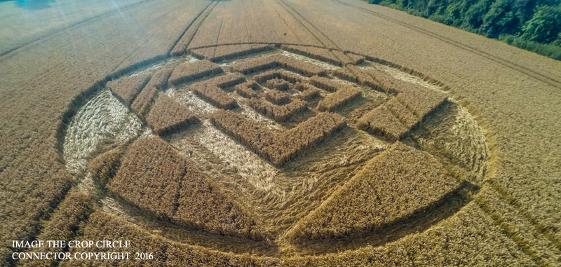Crop Circle at Sparticles Wood, Nr Chaldon, Surrey. Reported 3rd August 2016