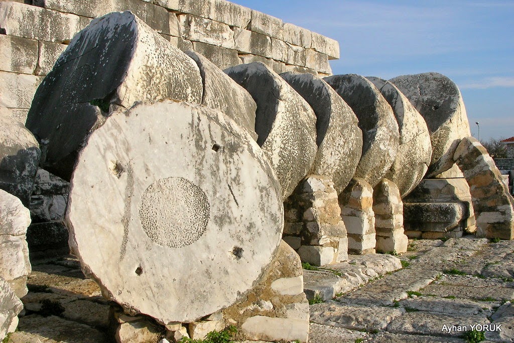 Ayhan YÖRÜK: Didim APOLLON Tapınağı