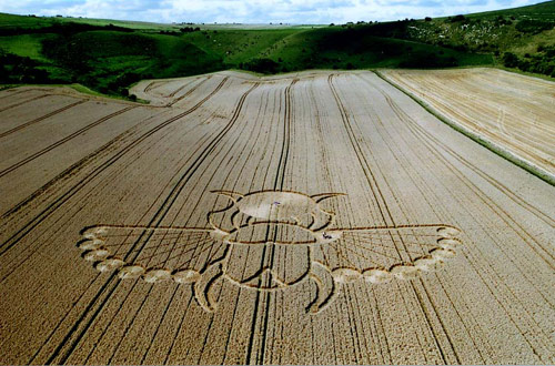 Crop Circle at East Field (2), nr Alton Priors, Wiltshire. Reported 21st August 2005