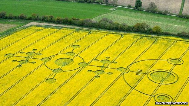 Display marks 25 years of crop circles study - BBC News