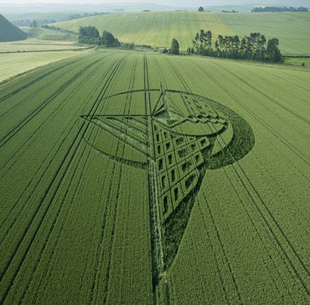 Crop Circle Art in Field | Crop circle wallpaper, Crop circle geometry, Green crop circle design