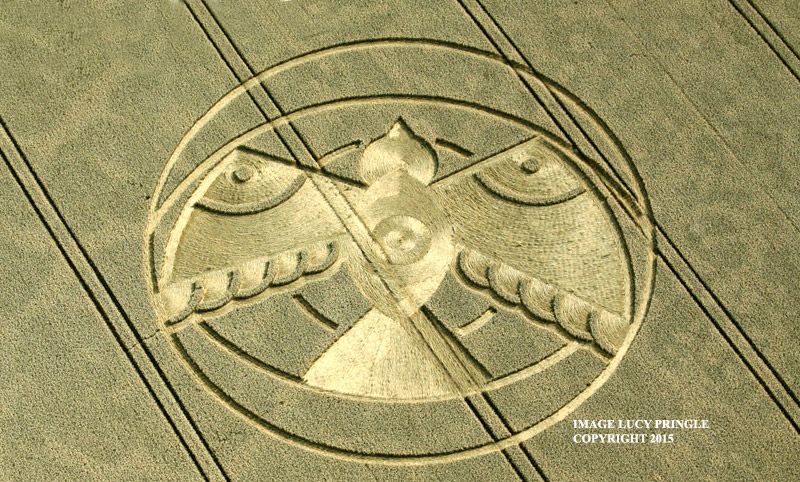 Discover 170 Crop cicles and crop circle at woolstone wells ideas | crop circle patterns on fields, crop circle drawing ideas, crop circle at ansty and more