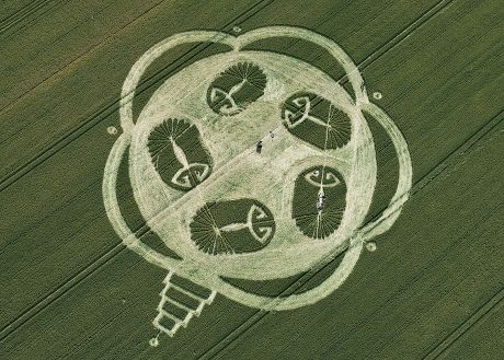 Crop circle