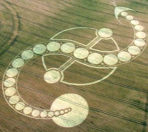 May be an image of harp