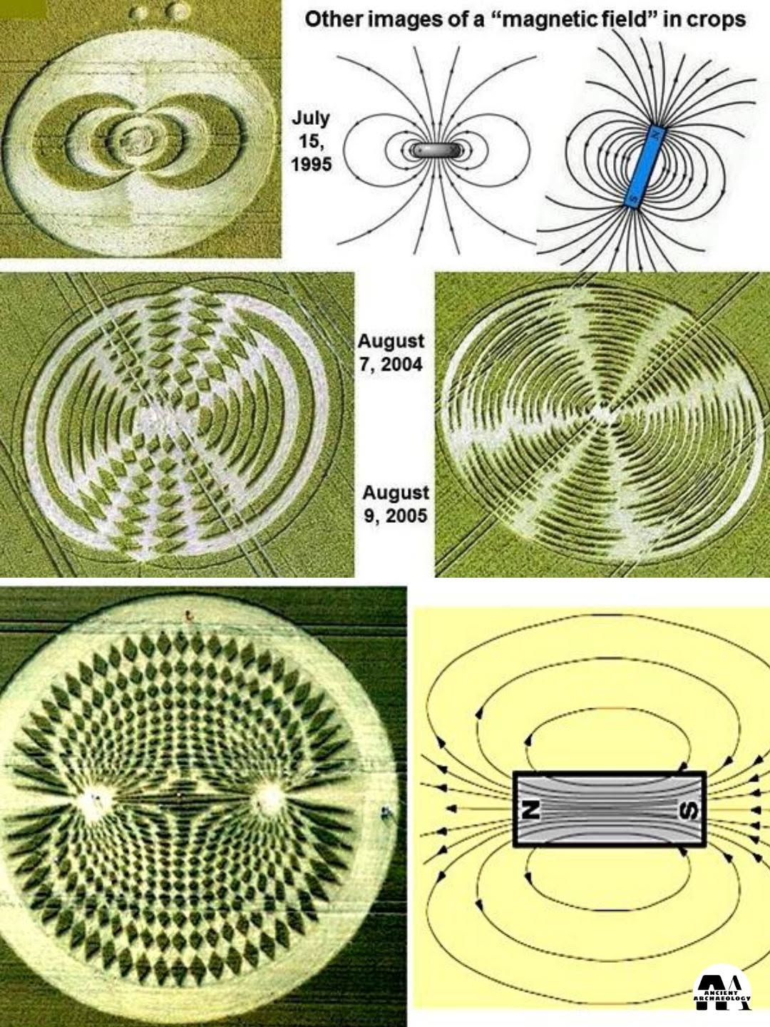 Có thể là hình ảnh về văn bản cho biết 'Other images ofa "magneticfield" field" in crops July 15, 1995 อม August 7, 2004 August 9, 2005 S AREMAESLOEN DEwSIbE'