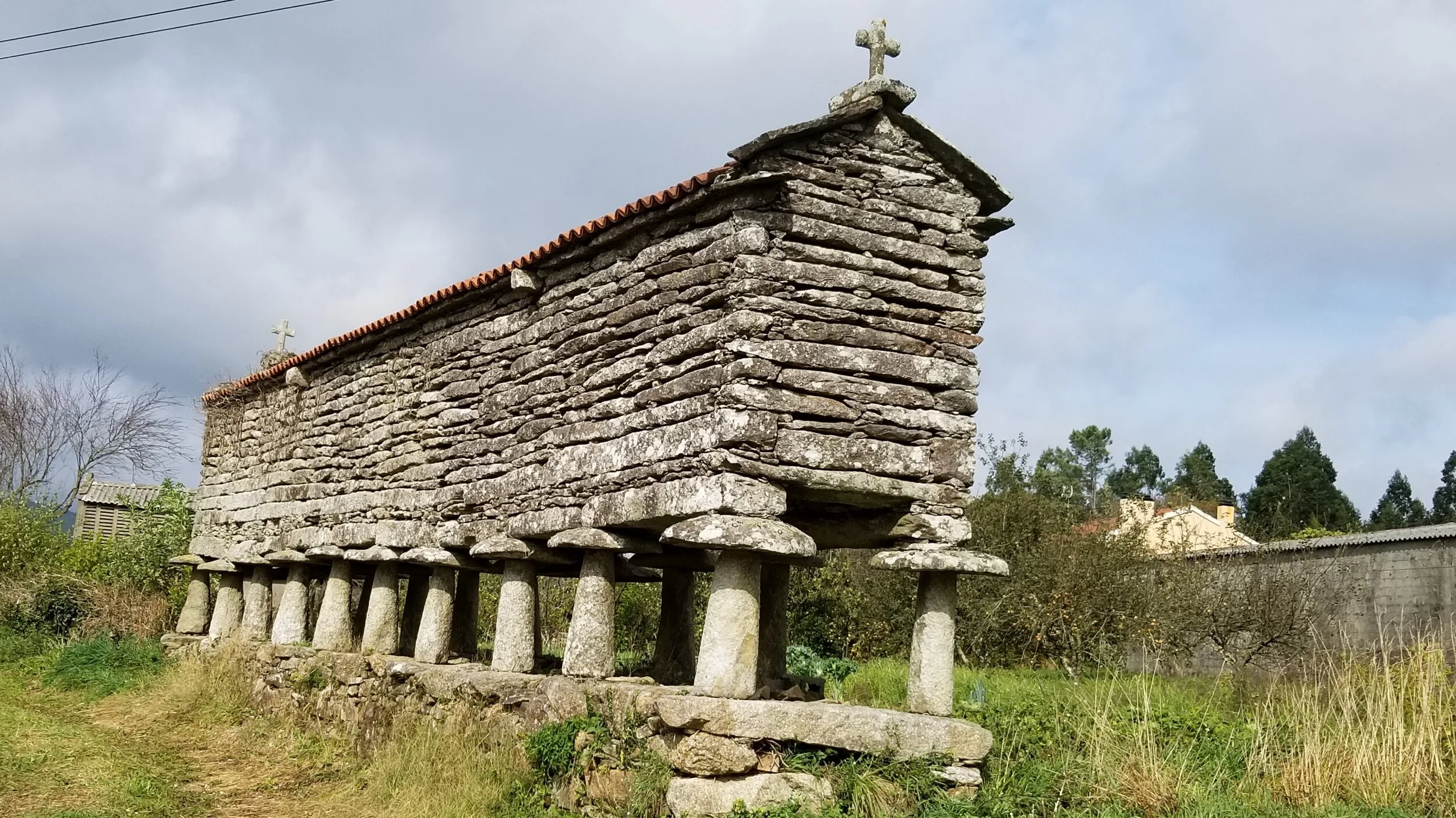 Blog 1 — Pilgrim Pete